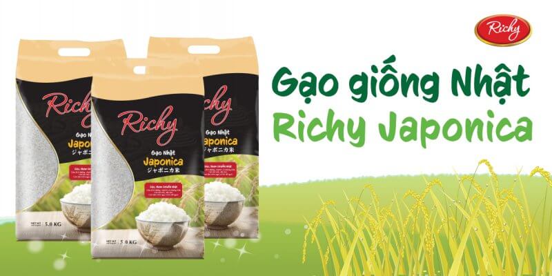 gao-japonica-richy